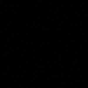 Meet your Posher, Isiah